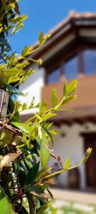 La Casa 44, Con Spa Opcional Sariego Dış mekan fotoğraf